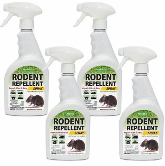 Does Rodent Repellent Spray Work? What You Need to Know